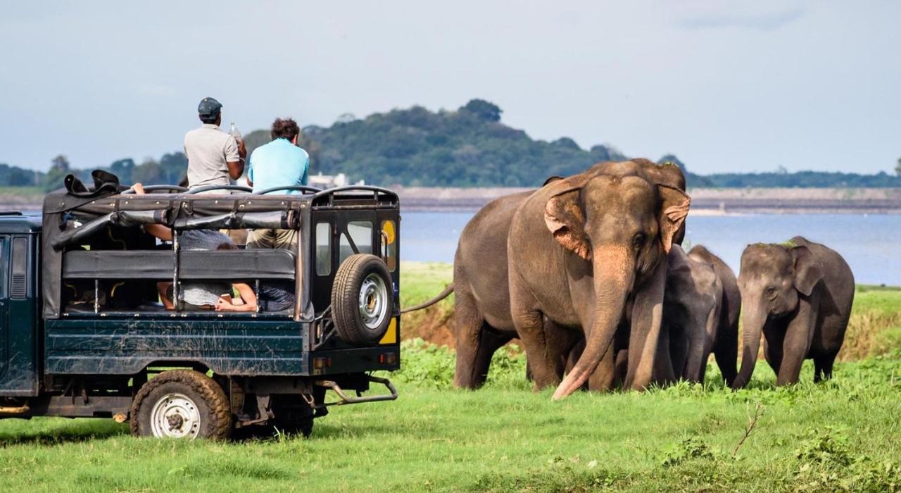 Dinesh Safari Homestay Удавалаве Екстер'єр фото