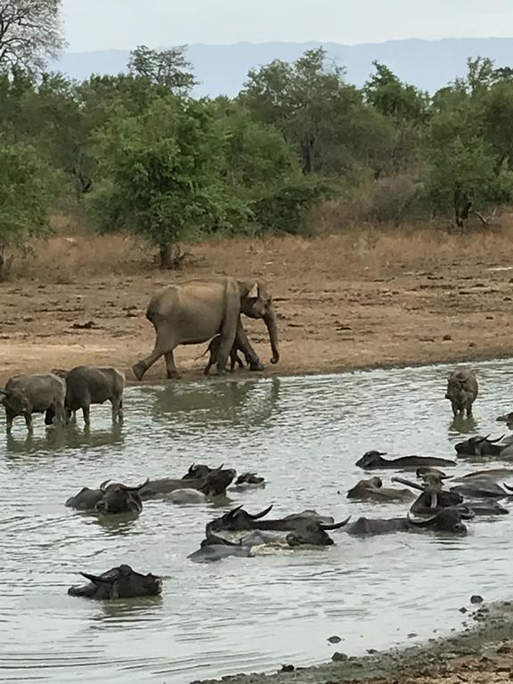 Dinesh Safari Homestay Удавалаве Екстер'єр фото