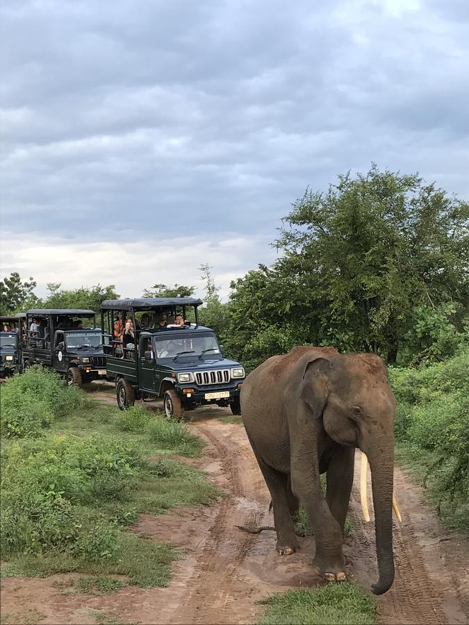 Dinesh Safari Homestay Удавалаве Екстер'єр фото